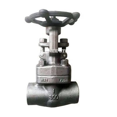 API 602 kovani globus ventili